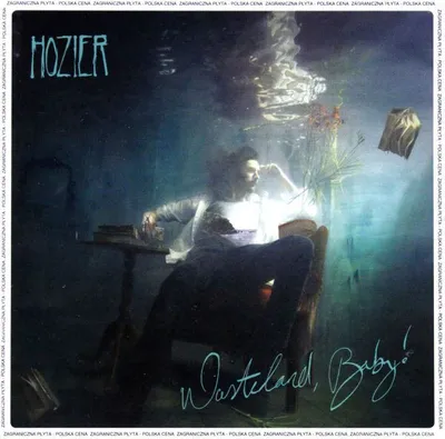 Immagine prodotto di Hozier: Wasteland, Baby! (PL)
