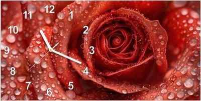 Produktbild von Wanduhr aus Glas mit Motiv Wassertropfen Rose- 60 x 30 cm - inkl. Aufhängesystem