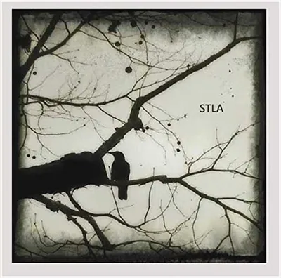 Produktbild von Stla