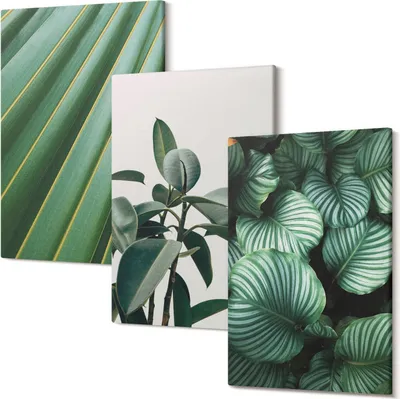 Produktbild von Leinwandbild – Wandbild – Leinwandbilder – Kunstdruck – Polycanvas – Modern – Mehrteilig – 3-Teilig Set – Hochwertig – Geruchslos – Lichtecht – Fertig Aufgespannt – 20x30 Cm Je Teil - Ästhetische tropische Blätter in verschiedenen Grüntönen