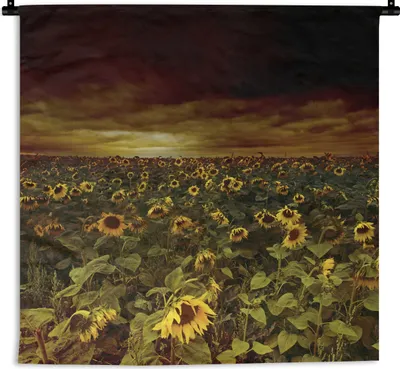 Produktbild von MuchoWow® Wandteppich Wandbehang Sonnenblumen zwischen dunklen Wolken 90x90 cm Tapisserie Dekoration Wandtuch - Wandaufhänger