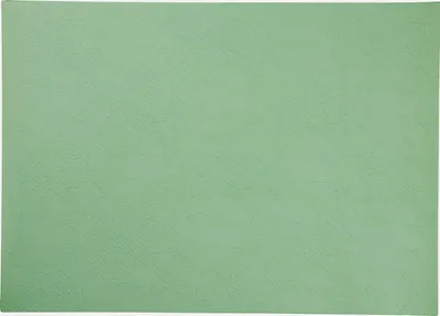 Produktbild von ASA Tischset, basil VEGAN 46 x 33 cm, vegan leather, aus PU