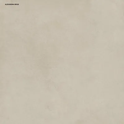 Produktbild von Bodenfliese Feinsteinzeug Alexandria 2.0 60 x 60 cm beige