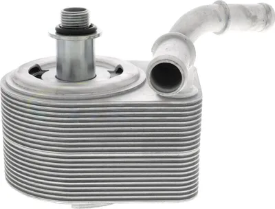 Immagine prodotto di Radiatore dell'olio, olio motore FORD Focus II, C-Max