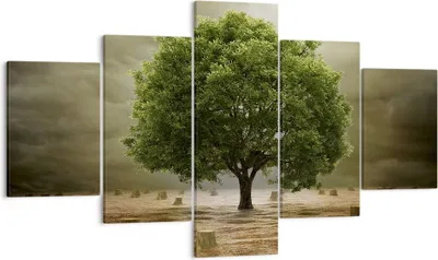Produktbild von Bild auf Leinwand - Leinwandbild - Baum Feld Umwelt - 125x70cm - Wand Bild - Wanddeko - Wandbilder - Leinwanddruck - Bilder - Kunstdruck - Wanddekoration - Leinwand bilder - Wandkunst - EA125x70-2727