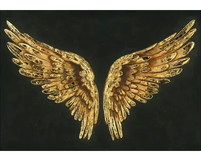 Produktbild von Leinwandbild Original Golden Wings 100x70 cm