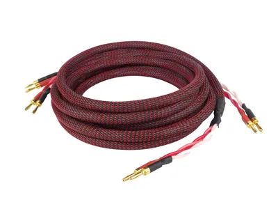 Immagine prodotto di Cavi per altoparlanti Dynavox Perfect Sound, coppia, cavi flessibili di alta qualità per altoparlanti, con connettori a banana di alta qualità, preassemblati, colore nero/rosso, lunghezza 3 metri