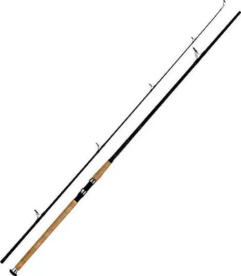 Produktbild von WFT Charisma Senso Pilk New Concept 2tlg. 2,40m 120-420g Pilkrute