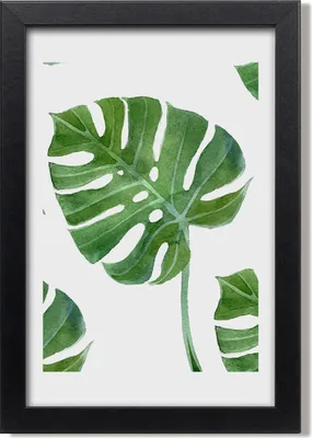 Produktbild von Bild 20x30 MDF-Rahmen, Wandkunst monstera