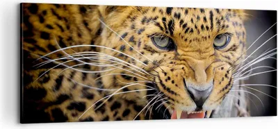 Produktbild von Bild auf Leinwand - Leinwandbild - Leopard tier savanne afrika - 100x40cm - Wand Bild - Wanddeko - Leinwanddruck - Bilder - Kunstdruck - Wanddekoration - Leinwand bilder - Wandkunst - AB100x40-2728