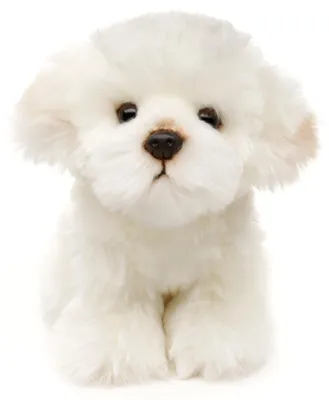 Image de Peluche chien maltais 18 cm ECO-FRIENDLY