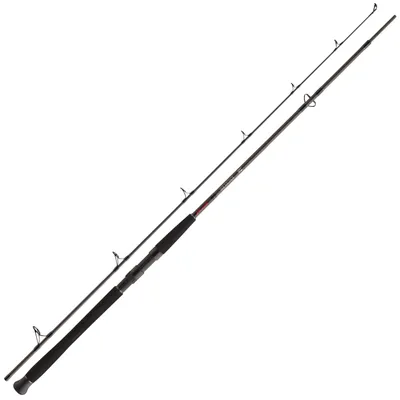 Obrázek produktu pro Daiwa EXCELER CATFISH SPIN sumcový prut, hmotnost g:do 135, délka m:2.70