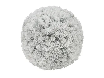 Obrázok produktu pre EUROPALMS Borovicová guľa, flokovaná, 30 cm