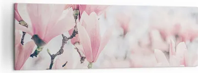 Produktbild von Bild auf Leinwand - Leinwandbild - Einteilig - Magnolie Blumen Rosa - 160x50cm - Wand Bild - Wanddeko - Wandbilder - Leinwanddruck - Bilder - Wanddekoration - Leinwand bilder - AB160x50-4396