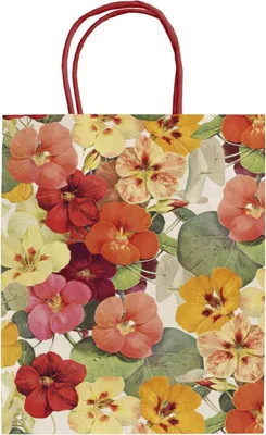 Obrázok produktu pre Dárková papírová taška Summer Bloom
