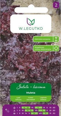 Produktbild von Samen von Kopfsalat Muleta 1g - W.Legutko
