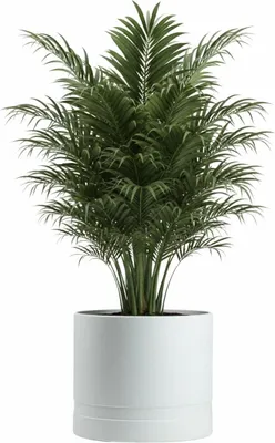 Produktbild von HowHomely | Blumenkübel - Übertopf - weiß - B43xH38 cm - Pflanzgefäß - Blumentopf - Pflegeleicht