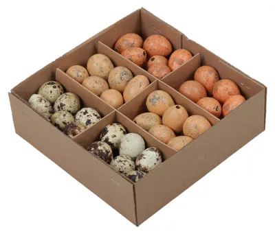 Produktbild von 72 Wachteleier ausgeblasen 3cm bunt natur orange Eier Ostereier Ostern