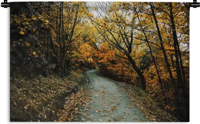 Produktbild von MuchoWow® Wandteppich Wandbehang Blätter - Herbst - Wald 90x60 cm Tapisserie Dekoration Wandtuch - Wandskulpturen - Bildteppich