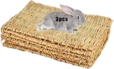 Produktbild von Grasmatte, gewebte Bettunterlage für Kleintiere, Kaninchen, Einstreu, Nest, Kauspielzeug, Bett, Spielzeug für Meerschweinchen, Papageien, Kaninchen, Häschen, Hamster, Ratten (3er-Pack) (3 Grasmatten)