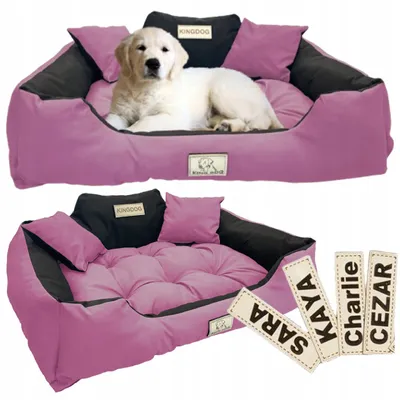 Produktbild von KingDog Wasserdichtes Hundebett mit Namen 75x65 cm