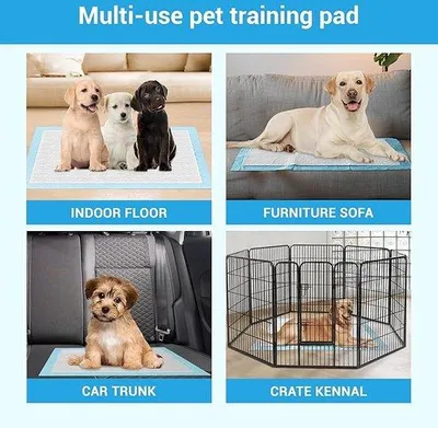Produktbild von Famanu Trainingspads für Hunde 100 Stück - 33x45 cm