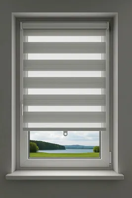 Produktbild von Doppelrollo Klemmfix Ohne Bohren Duo Rollo Zebrarollo Hellgrau 60cm
