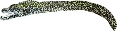 Image de Murena foncé 110cm 32935