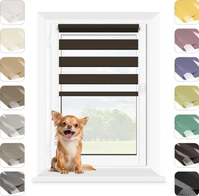 A chihuahua sits on a windowsill in front of a window with brown and white striped blinds.