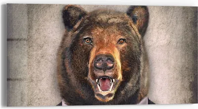 Produktbild von DEQORI Glasbild Echtglas 60x30 cm 'Grizzly im Anzug' Wandbild Bild modern Deko