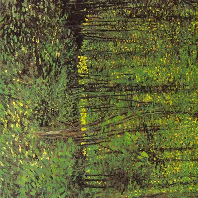 Obrázek produktu pro Vincent Van Gogh Art Print Obraz - Stromy a podrost, 1887 (70 x 70 cm)