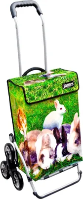 Produktbild von James Einkaufstrolley - RABBIT - stabiler Einkaufswagen mit individuellem Design - einfarbig: grün in Ausführung: Royal-Treppensteiger
