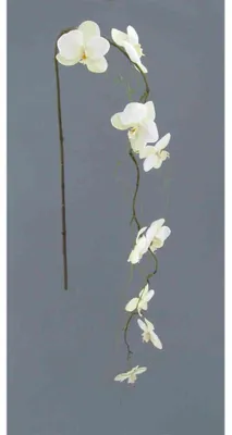 Produktbild von Kunstblume Phalaenopsis 122cm. Künstlicher Orchideen-Zweig Weiß