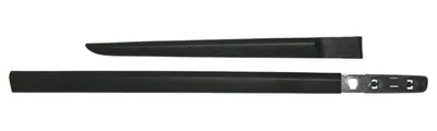 Produktbild von Türleisten Seitenleisten Zierleiste RECHTS für Renault Clio III 5-Türer 2005-12