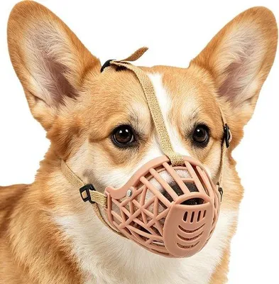 Productafbeelding van Honden Mandkorf - Honden Muilkorf - Veiligheid Huisdier - Ademend Ontwerp - Maat L - Beigegeel