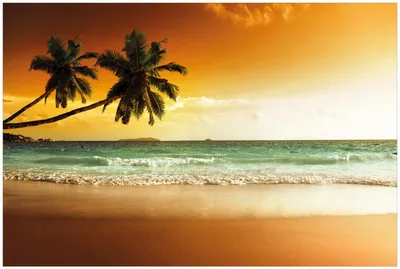 Produktbild von Wallario Premium Glasbild, freischwebende Optik, kräftige Farben, Größe 90 x 60 cm Motiv Palmen am Sandstrand bei untergehender Sonne