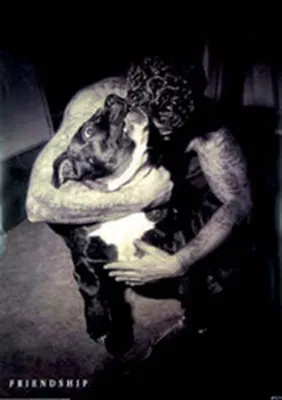 Obrázek produktu pro Hunde Pitbull Friendship Tattoo Plakat Tier Poster