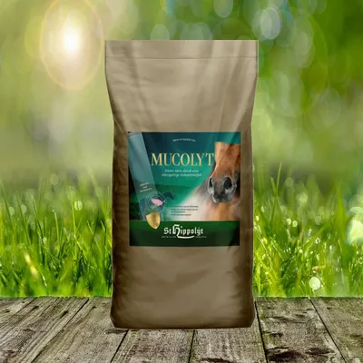 Produktbild von St. Hippolyt Mucolyt Atemwegskur | 25 kg