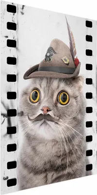 Produktbild von Posterpapier Poster - Cat in a Hat 29.7x42 cm Für Kinder g-A-0161-ao-a