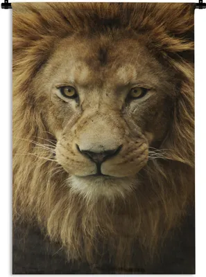 Produktbild von MuchoWow® Wandteppich Wandbehang Porträt - Afrika - Löwe 60x90 cm Tapisserie Dekoration Wandtuch - Foto-Teppich - Abwaschbar