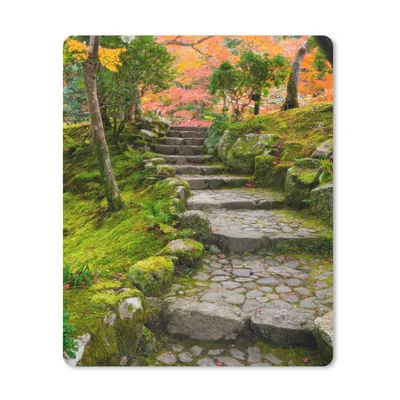 Produktbild von MuchoWow® Mauspad Mousepad Natur - Steine - Kröte - Moos - Japanisch 30x40 cm - Mousepads - Maus Mat - Pad - Mausunterlage - Mausmatten