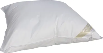 Produktbild von Betten Hofmann Basic Allergiker Kopfkissen Polster 60x70 cm hypoallergen 600 g