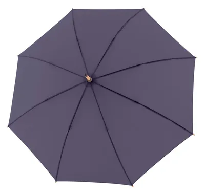 Produktbild von doppler Stockregenschirm Regenschirm Nature Long AC Umbrella Perfect Purple violett