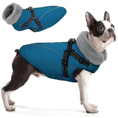 Image de Manteau pour chien, modèle Warm, imperméable, 3 couches, taille XL, couleur bleu Coelin