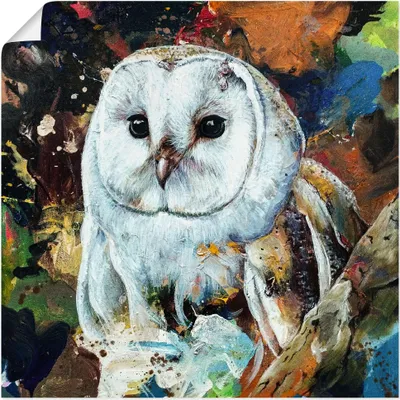 Produktbild von ARTland Poster Seraphina Größe: 70x70 cm