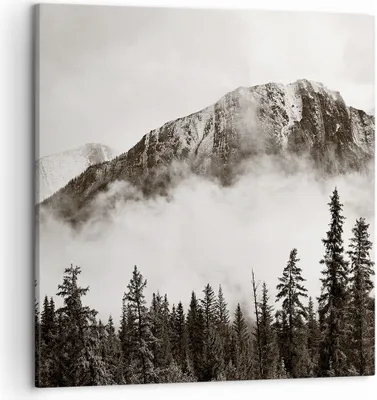 Produktbild von Bild auf Leinwand - Leinwandbild - Einteilig - Nebel Berg Wald - 50x50cm - Wand Bild - Wanddeko - Wandbilder - Leinwanddruck - Bilder - Wanddekoration - Leinwand bilder - Wandbild - AC50x50-4936