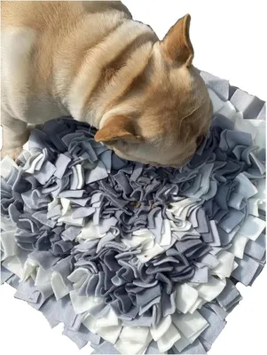 Image de Couverture pour chien, gris clair, carrée, 50 x 50 cm, grande, robuste, facile à nettoyer. Tapis de nourriture lent pour chiens, tapis de nourriture, tapis olfactif pour chiens