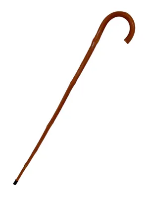 Produktbild von Gehstock