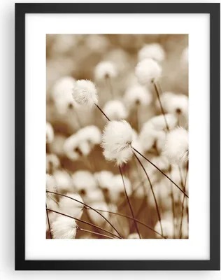 Produktbild von Gerahmtes Poster - Schwarzer Rahmen - Baumwolle Boho Wollig - 30x40 cm - Wand Bild - Wanddeko - Wandbilder - Kunstposter - Wandposter - Bilderrahmen - Bilder - Kunstdruck - P2BPA30x40-4850