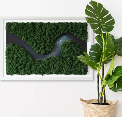 Produktbild von Moosbild mit Echtem Isländisch Moos - 60x40 cm - Weißer MDF-Rahmen - Fluss im Wald